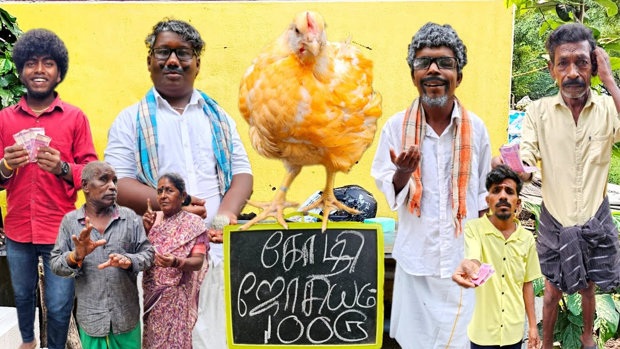 கோழி ஜோசியம் வெறும் 100 ரூபாய் கோழி பேசுதா | Fun Torture