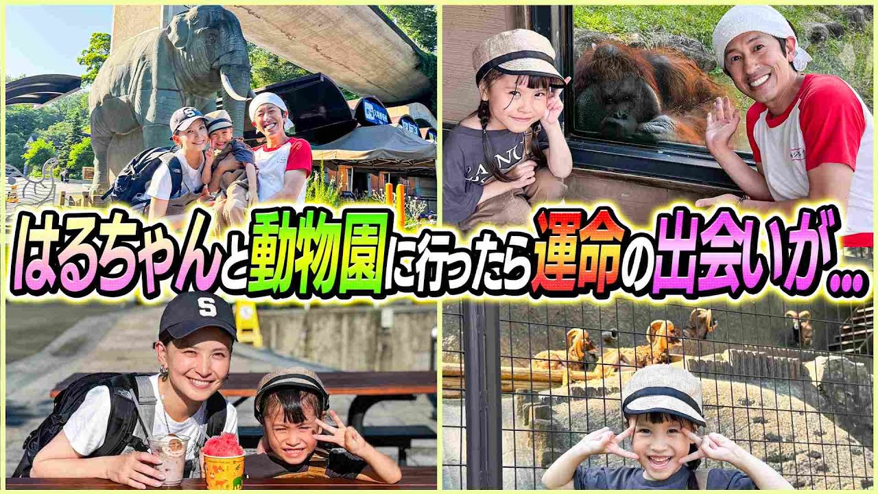 【運命の出会いが…】はるちゃんと動物園に行った結果…運命の出会いが…〜1人っ子企画〜