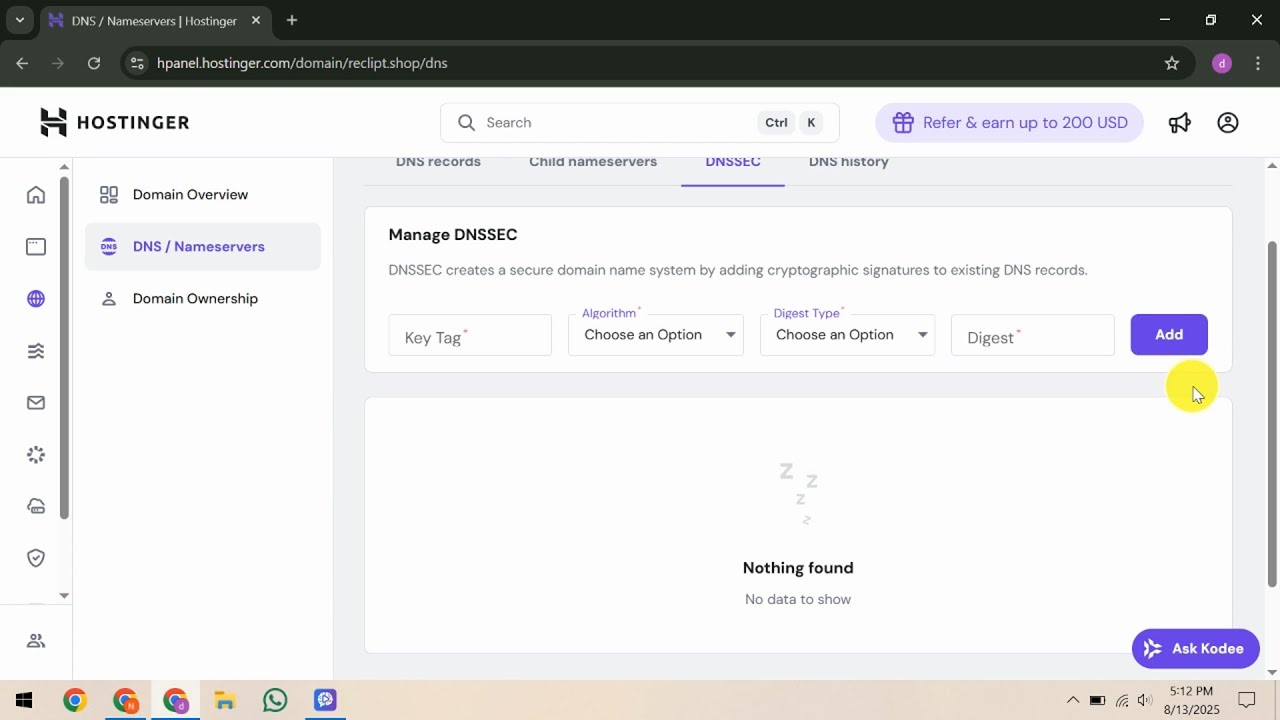 How To Check DNS Settings in Hostinger