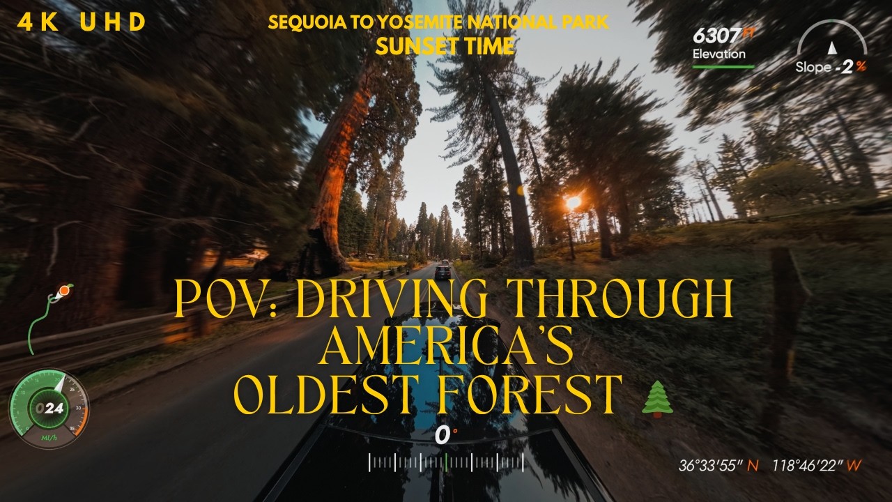 POV: The Most Beautiful National Park Drive at Sunset (Sequoia + Yosemite 4K)