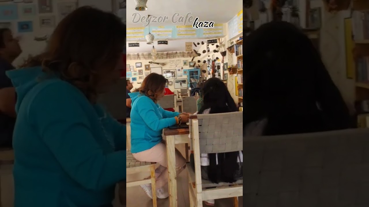 Best 4 Cafes in Kaza,Spiti |Nature lover dentist