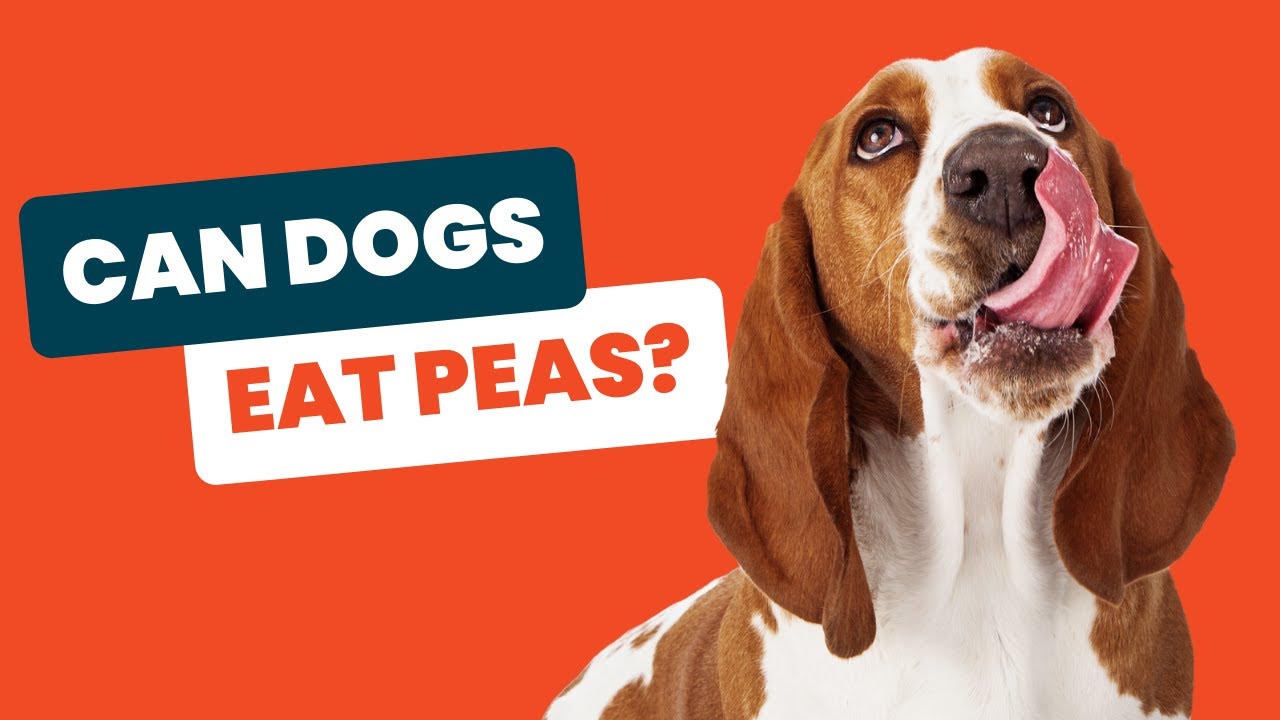 Can Dogs Eat Peas Safely? Discover the Surprising Facts