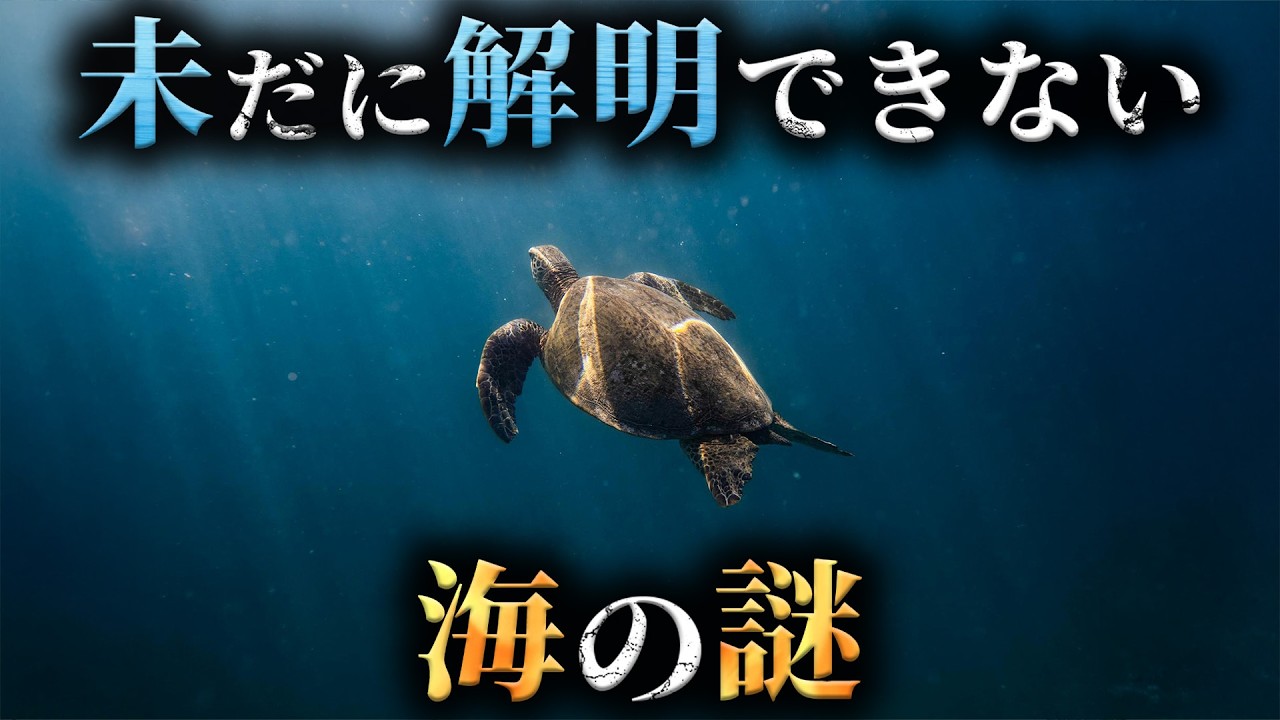 【未解明】人類がまだ5%しか知らない海の謎4選がヤバすぎた...。Part24【 ミステリー 都市伝説 未解決問題 】