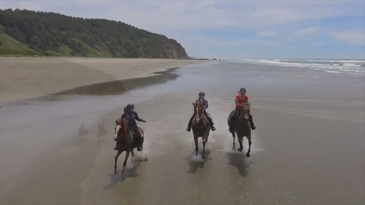 OCEANFRONT PRIVATE BEACH ACCESS TO 