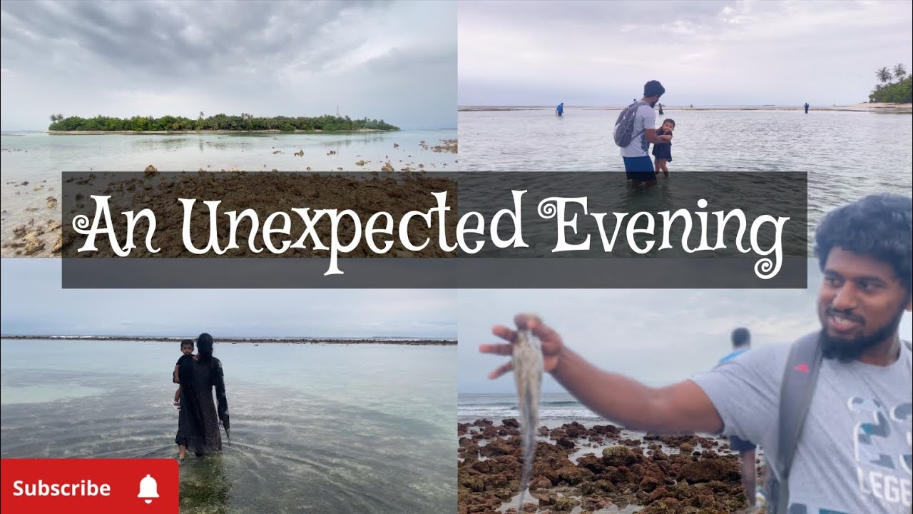 What we saw inside the Sea😱🤩?? | வாங்க பாக்கலாம்🐙🌊🐚 #islandlife#maldives #explore #fun#ocean#moments