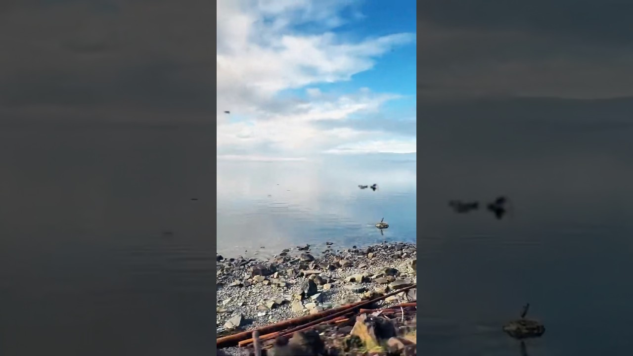 Najlepsza podr&oacute;ż pociągiem nad morzem: z Vancouver do Seattle koleją. 🌊🚂 #pociąg #podr&oacute;ż #morze #wybrzeże #usa