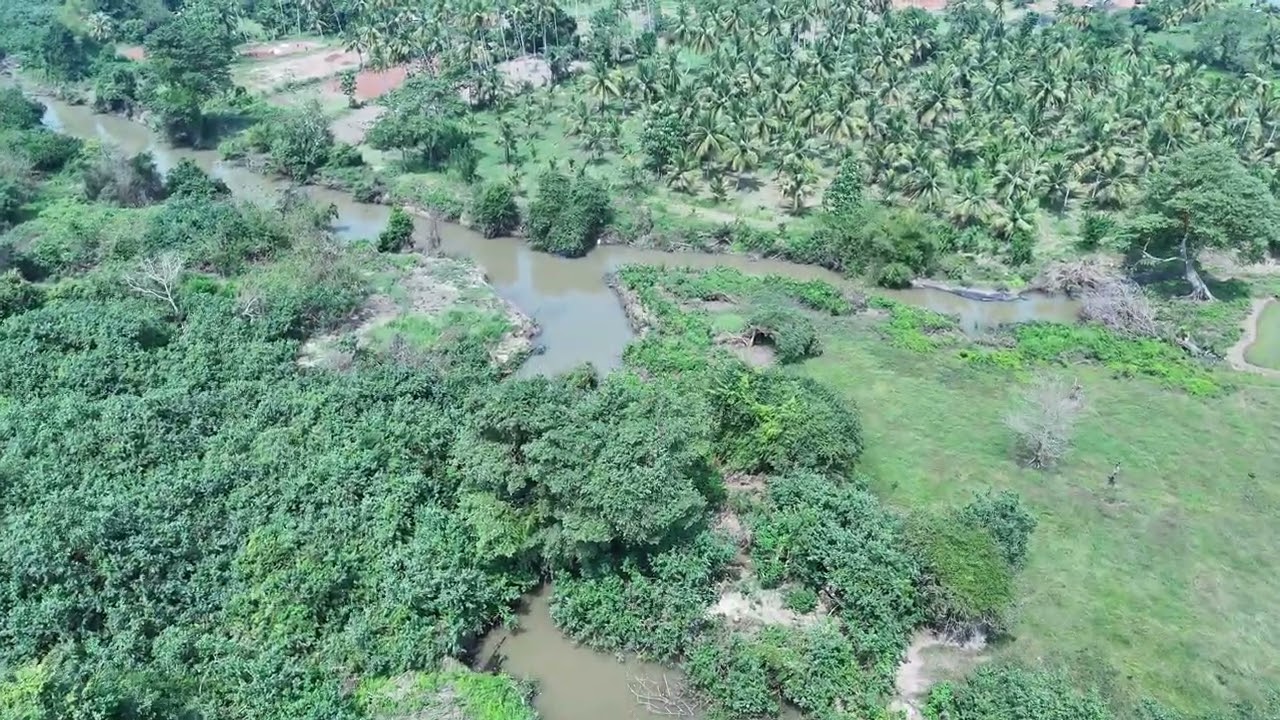 4K Drone Footage   Peaceful Lake, Forest & River for Relaxation & Study Part 3