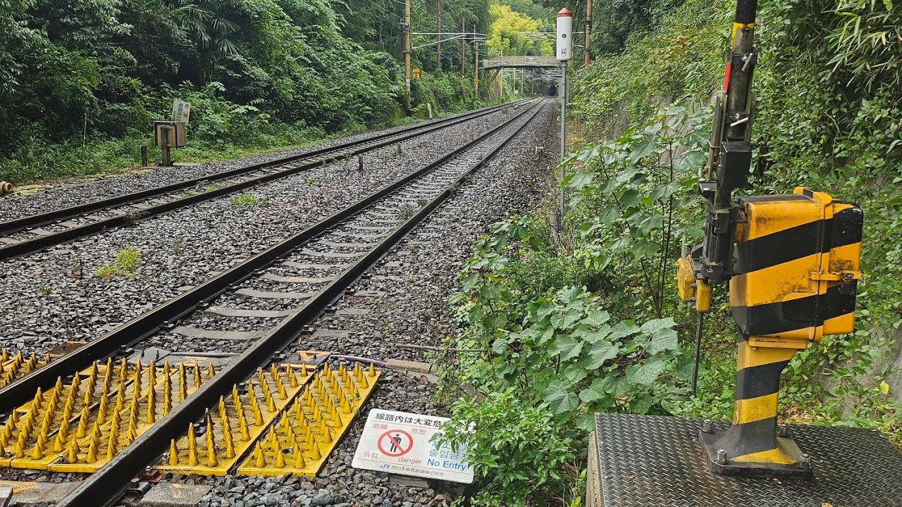 Bamboo forest train crossing 🛤 japan