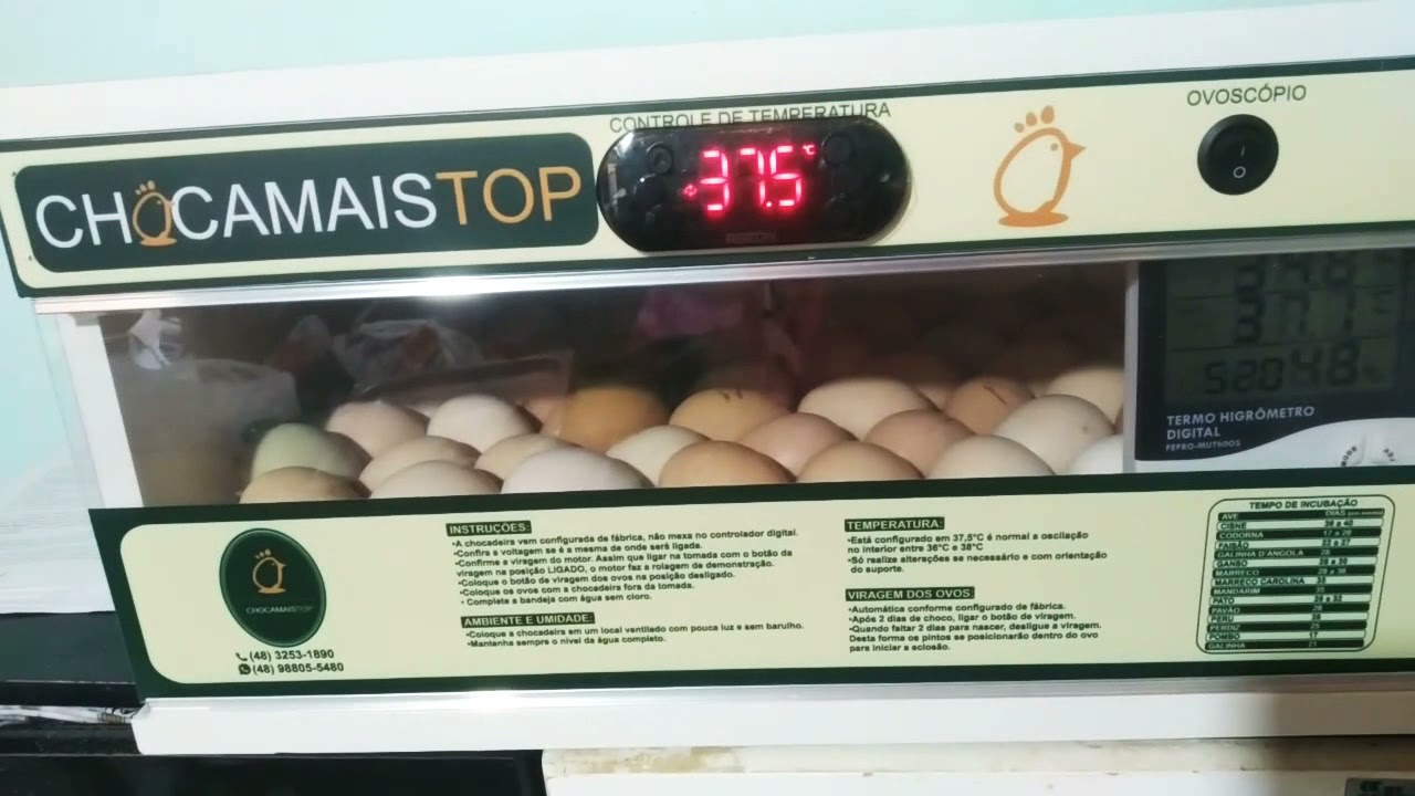Chocadeira Chocamaistop presta? o que você realmente precisa saber!