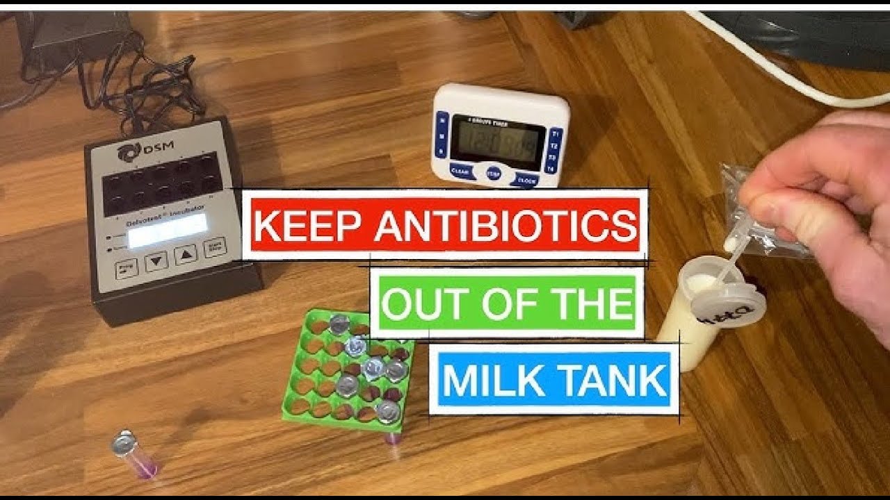 Milk Antibiotic Testing β-lactams, streptomycin, chloramphenicol and tetracycline | HRM Dairies
