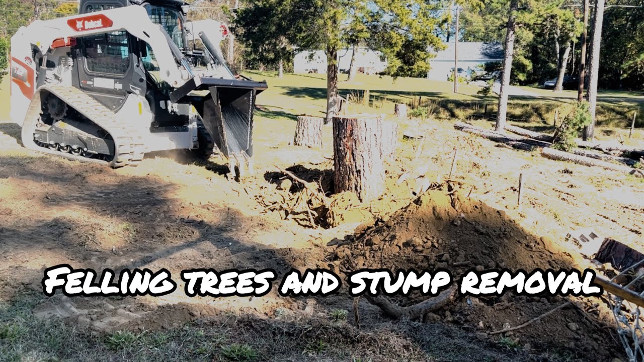 Removing giant stump with skid steer stump bucket