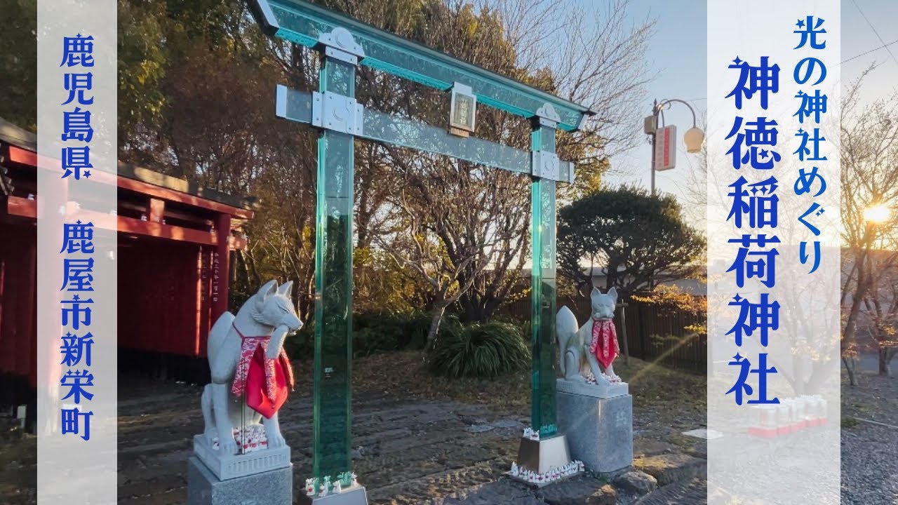 【神徳稲荷神社】美しいガラスの鳥居⛩️✖️縁結びの大石✨朝の光に包まれて