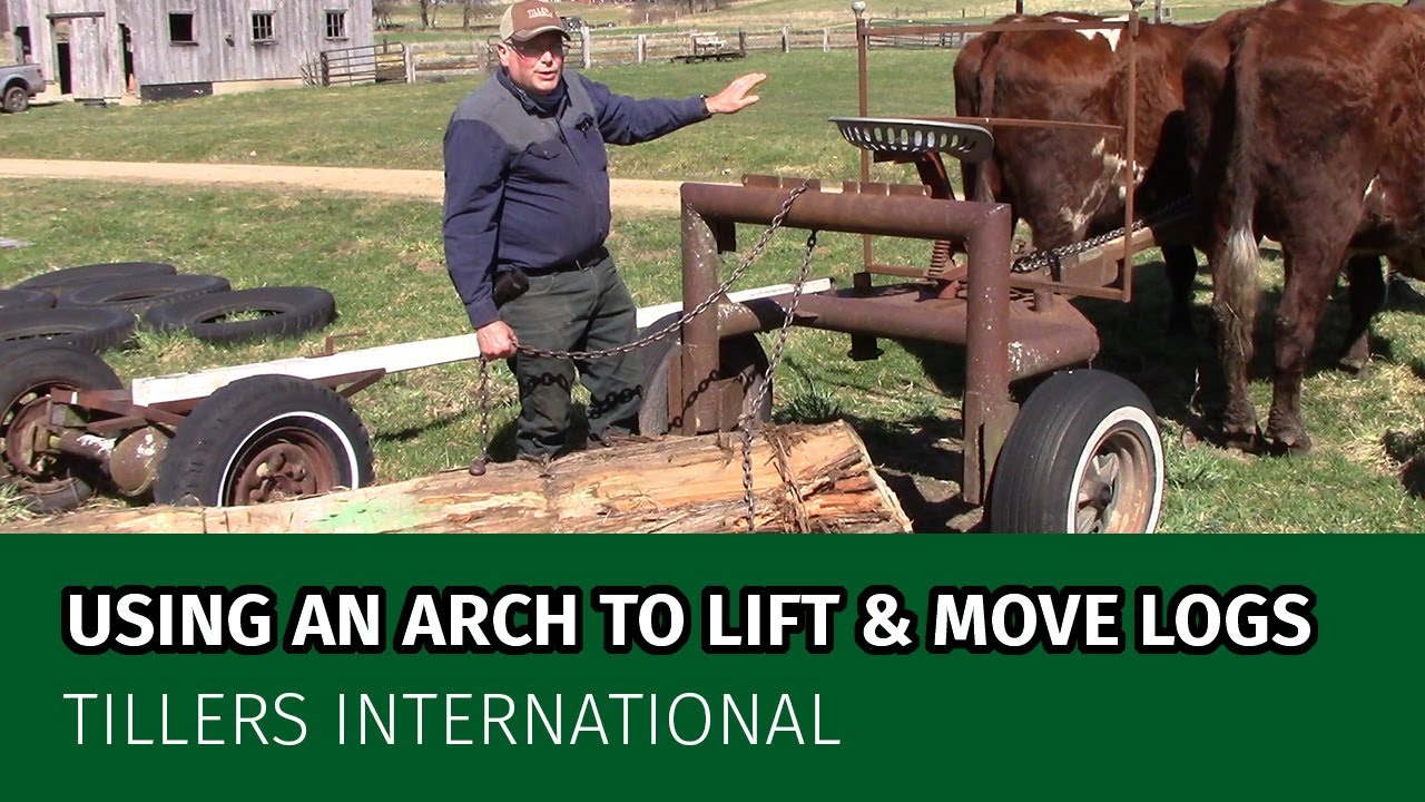 Lifting and Moving Logs With Draft Animals