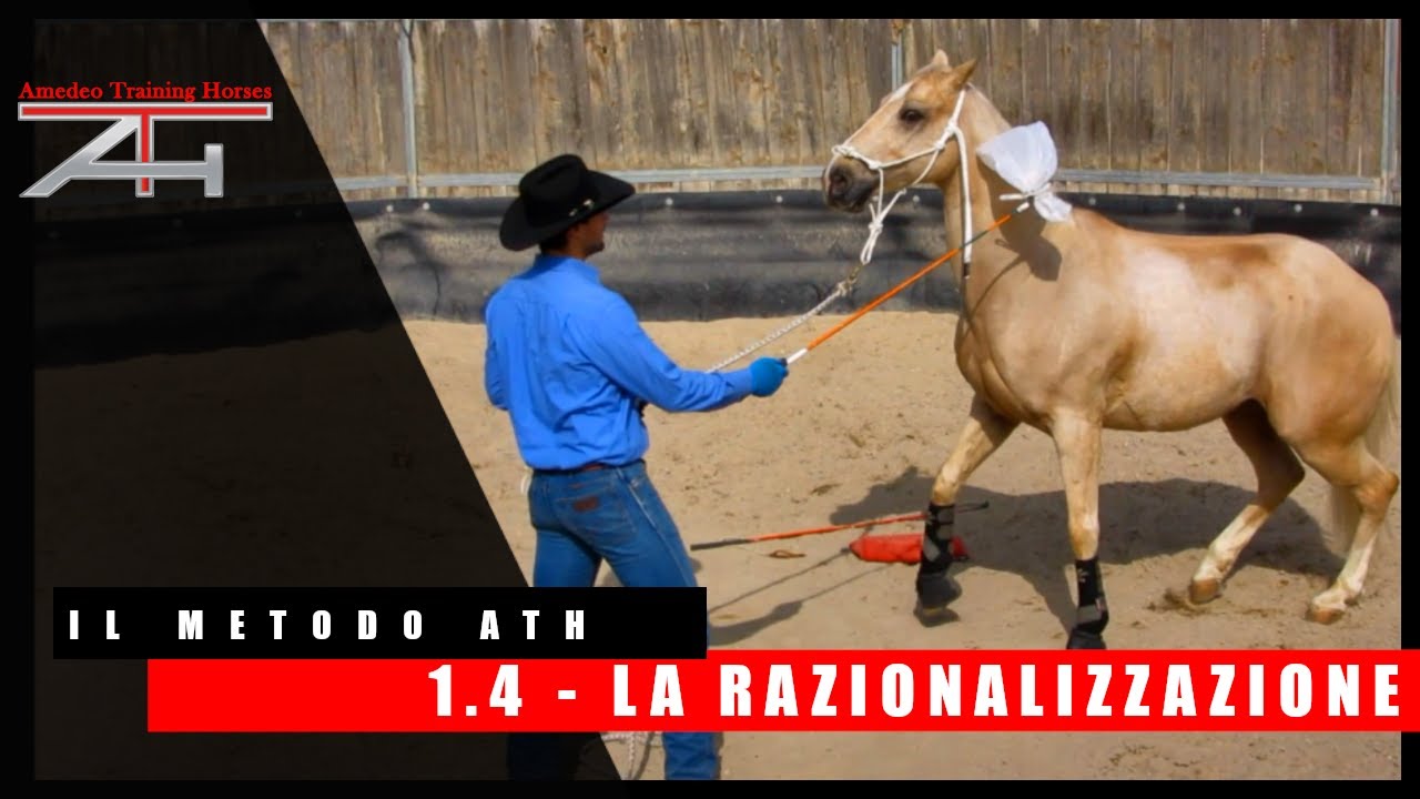 I.04 - La razionalizzazione