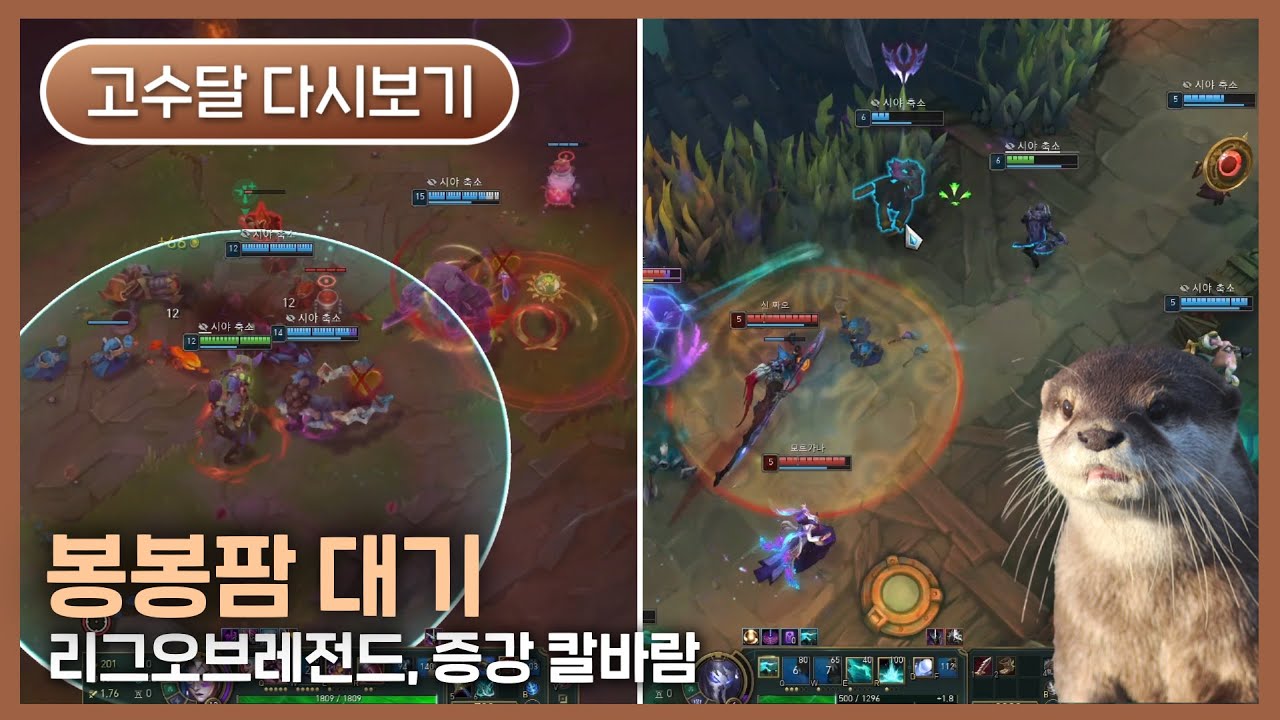 [2026.01.31] 봉봉팜 1일차 대기, 리그오브레전드, 증강 칼바람 (w. 강지, 김뿡, 멋사, 실프) - 고수달 다시보기
