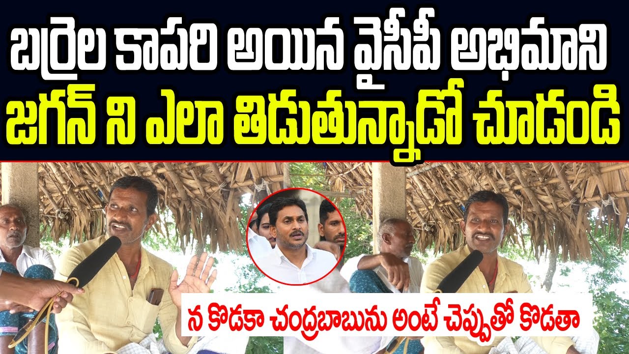 బర్రెల కాపరి అయిన వైసీపీ అభిమాని జగన్ ని ఎలా బూతులు  తిడుతున్నాడో చూడండి I YCP Fan Fires on YS Jagan