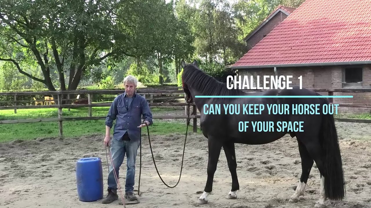Horsemanship Challenge 1&2:  Can you keep your horse out of your personal space and more?