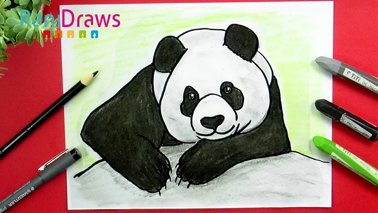 Cómo dibujar un OSO PANDA - Paso a paso