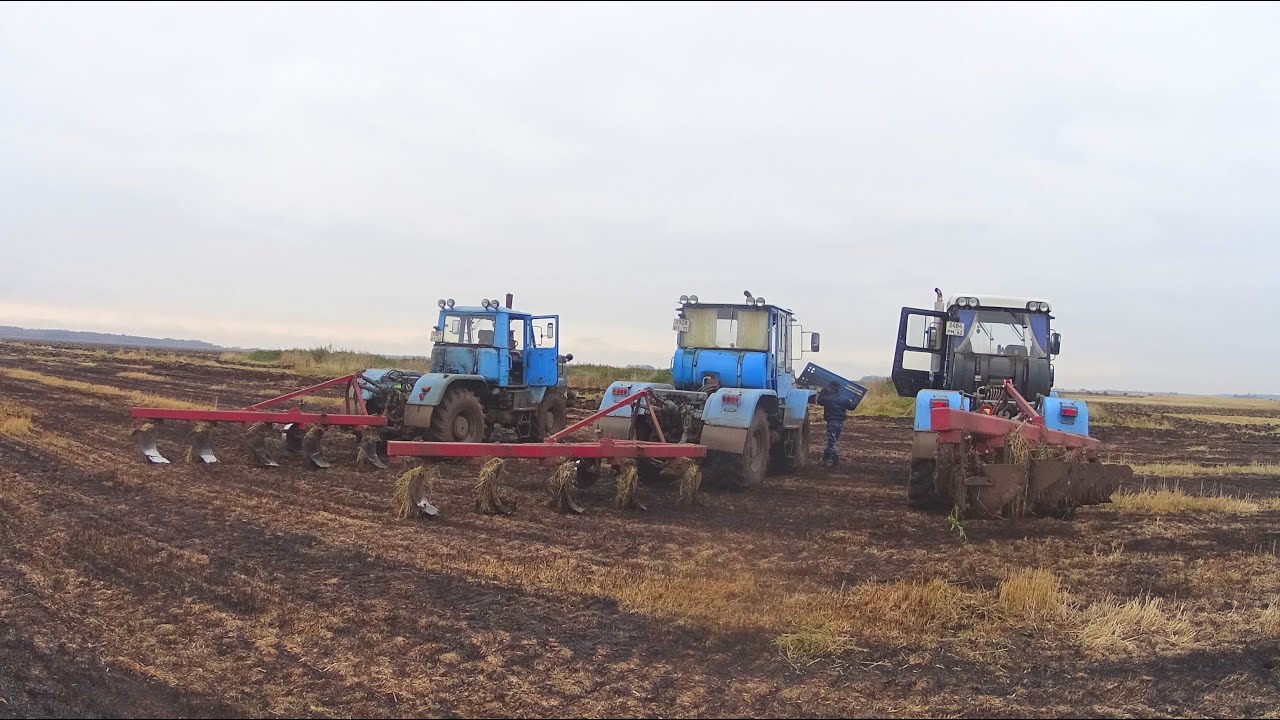 Пахота зяби скучной не бывает на трёх тракторах ХТЗ с плугами ПЛН.
