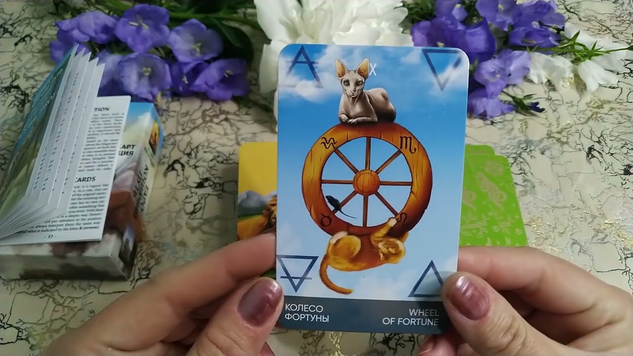 ТАРО КОШАЧИЙ ПУТЬ от Magic-Kniga 😻😻😻