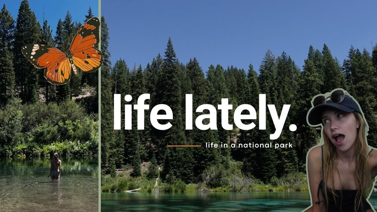 what it's like living in a national park :O