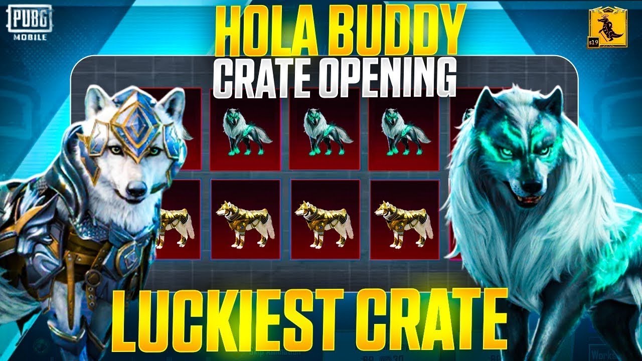 $12000 UC Hola Buddy BGMI/PUBGM Crate opening #crateopening #holabuddy #bgmi
