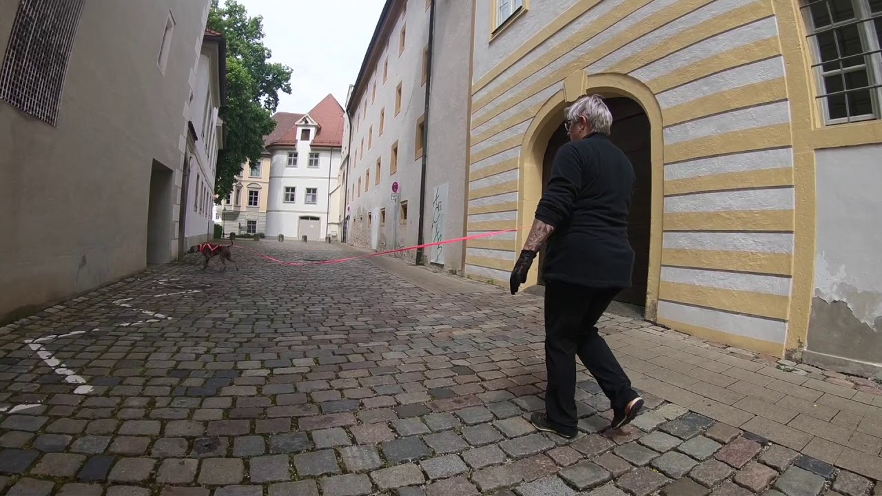 Mantrailing Training, Karina & Salia, 20. Mai 2018, Eichstätt