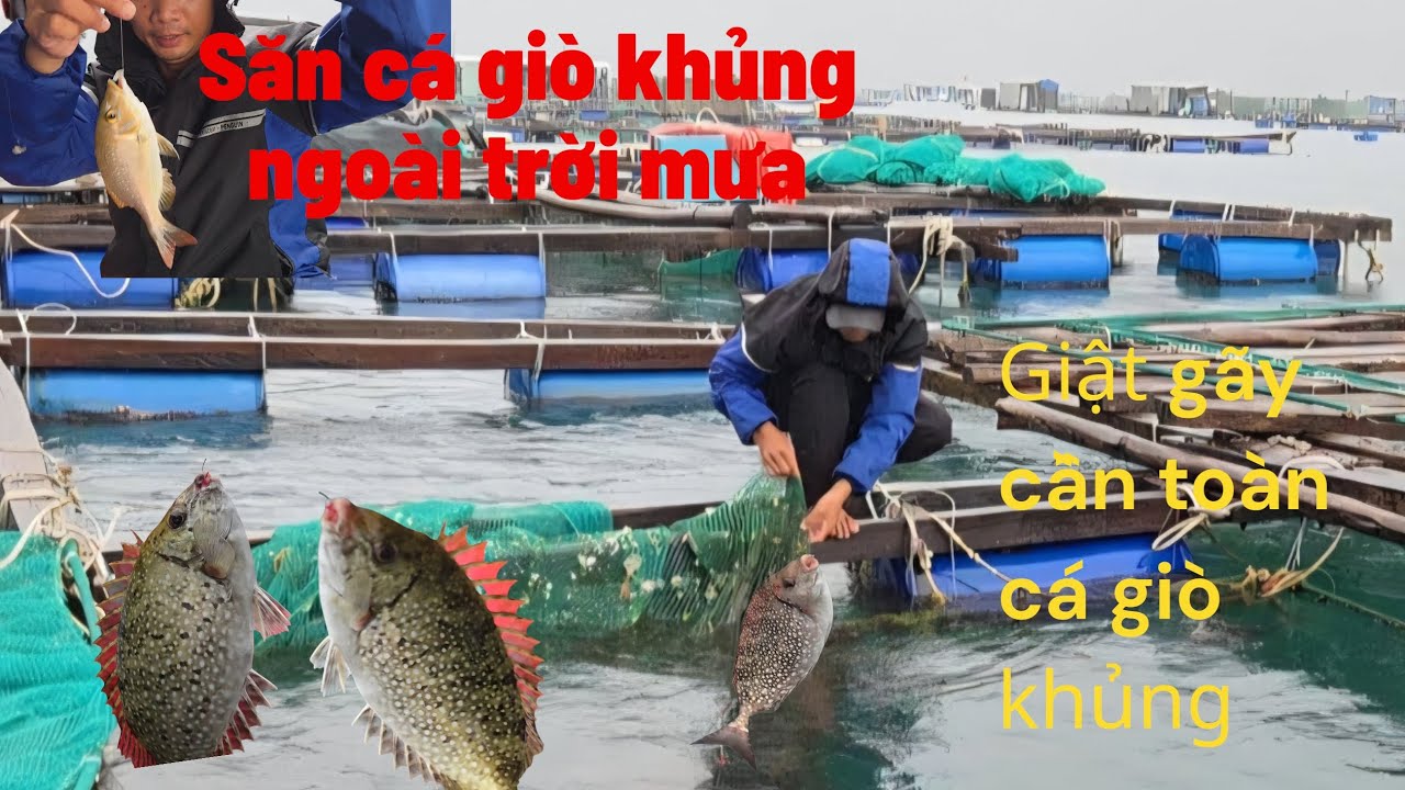 [Tập24] 