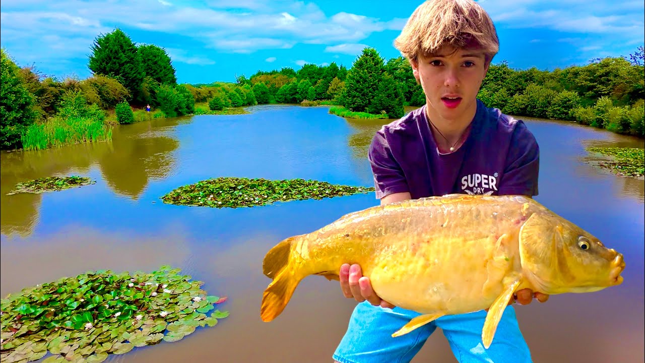 Carp Fishing Big Pond For Big Carp!
