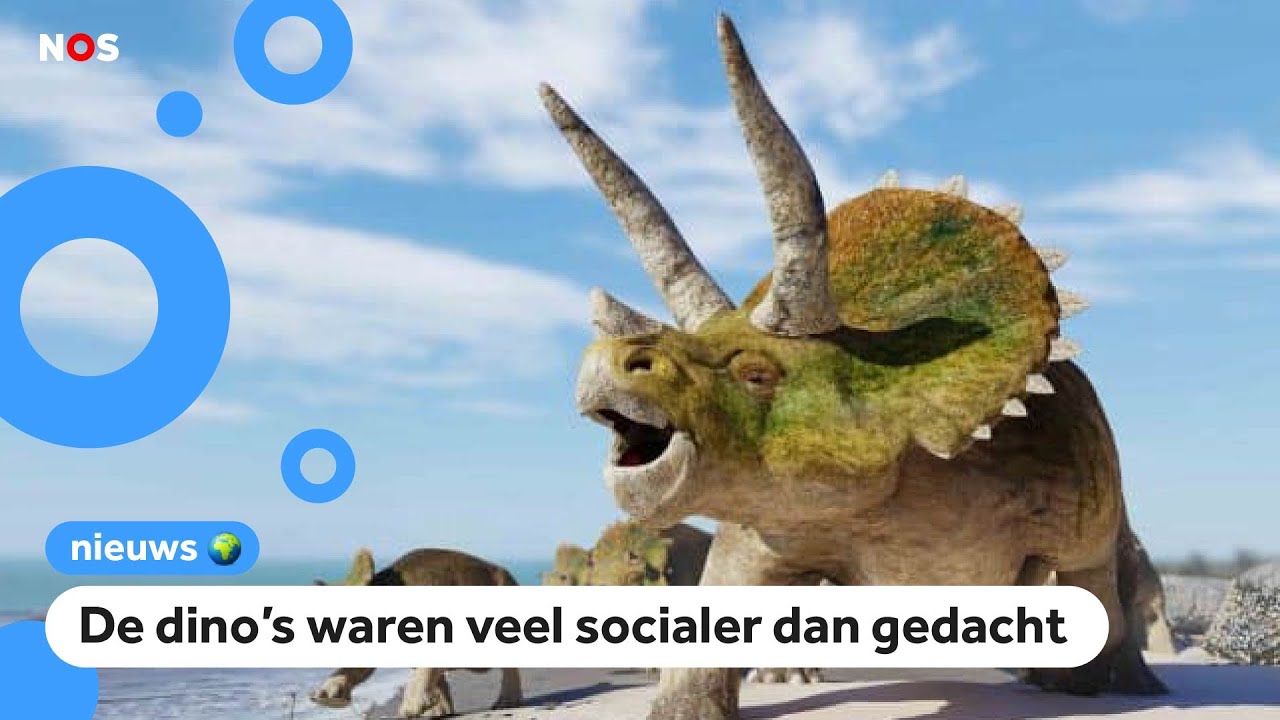 Nederlander ontdekt dat bekende dino in groepen leefde