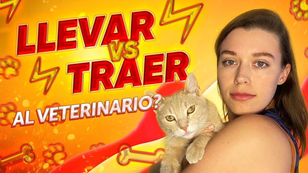 Как не путать LLEVAR vs TRAER? / Испанский для начинающих