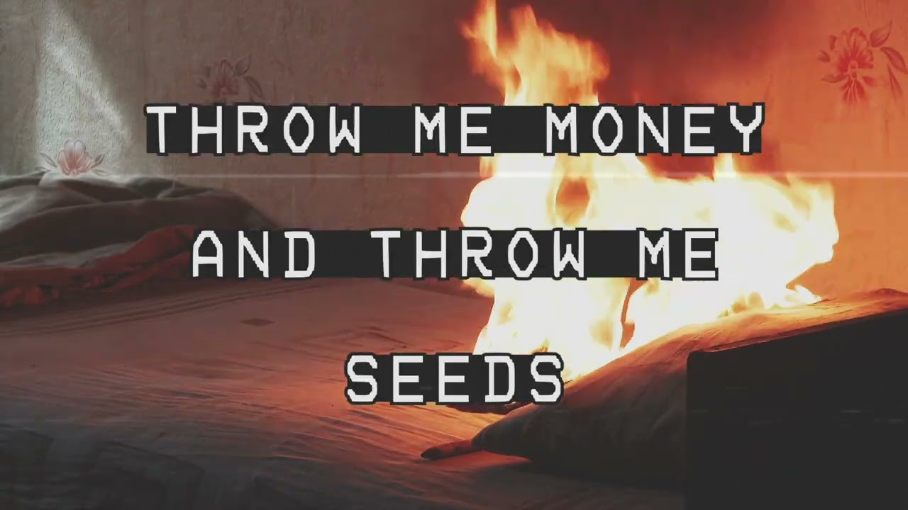 Breaches - Seeds (Lyric Video)