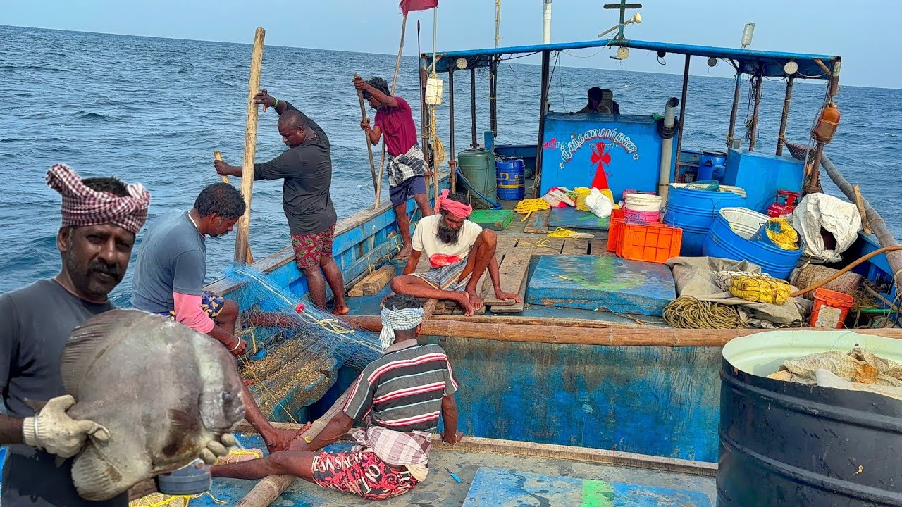 Wow 😳 First Day Great Day 💢❗We Caught Lot of Variety Fishes & Cuttle Fishes in Net Fishing