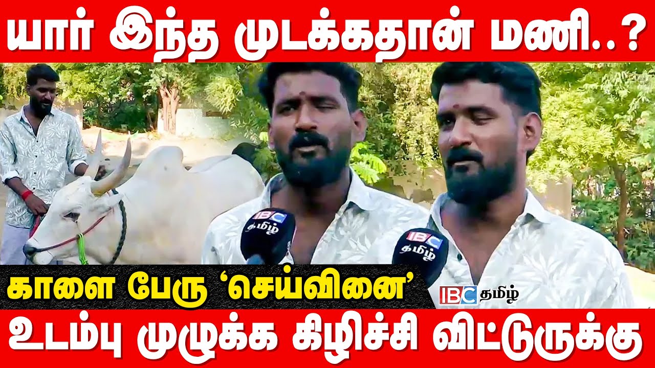 காளை கண்ணை குத்தி குழப்பிவிட்டுருச்சு..! - Mudakathan Mani | Madurai Jallikattu | IBC Tamil