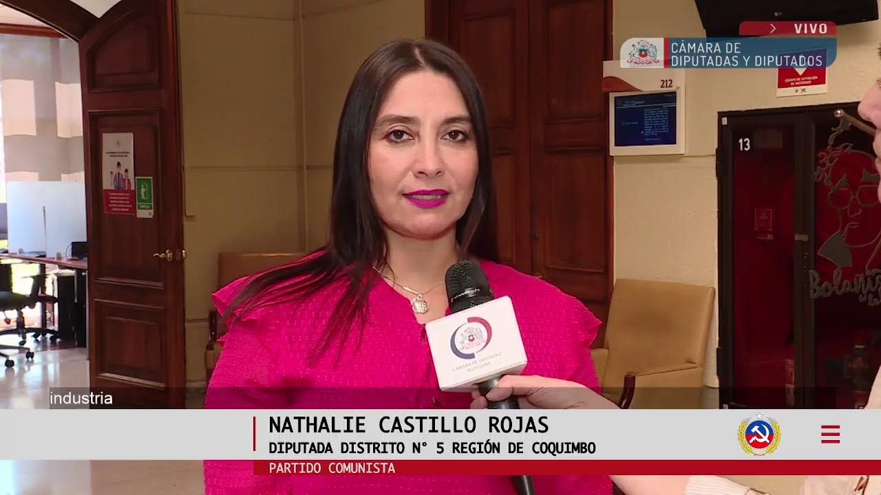 Emisi&oacute;n en directo de Diputadas y Diputados de Chile