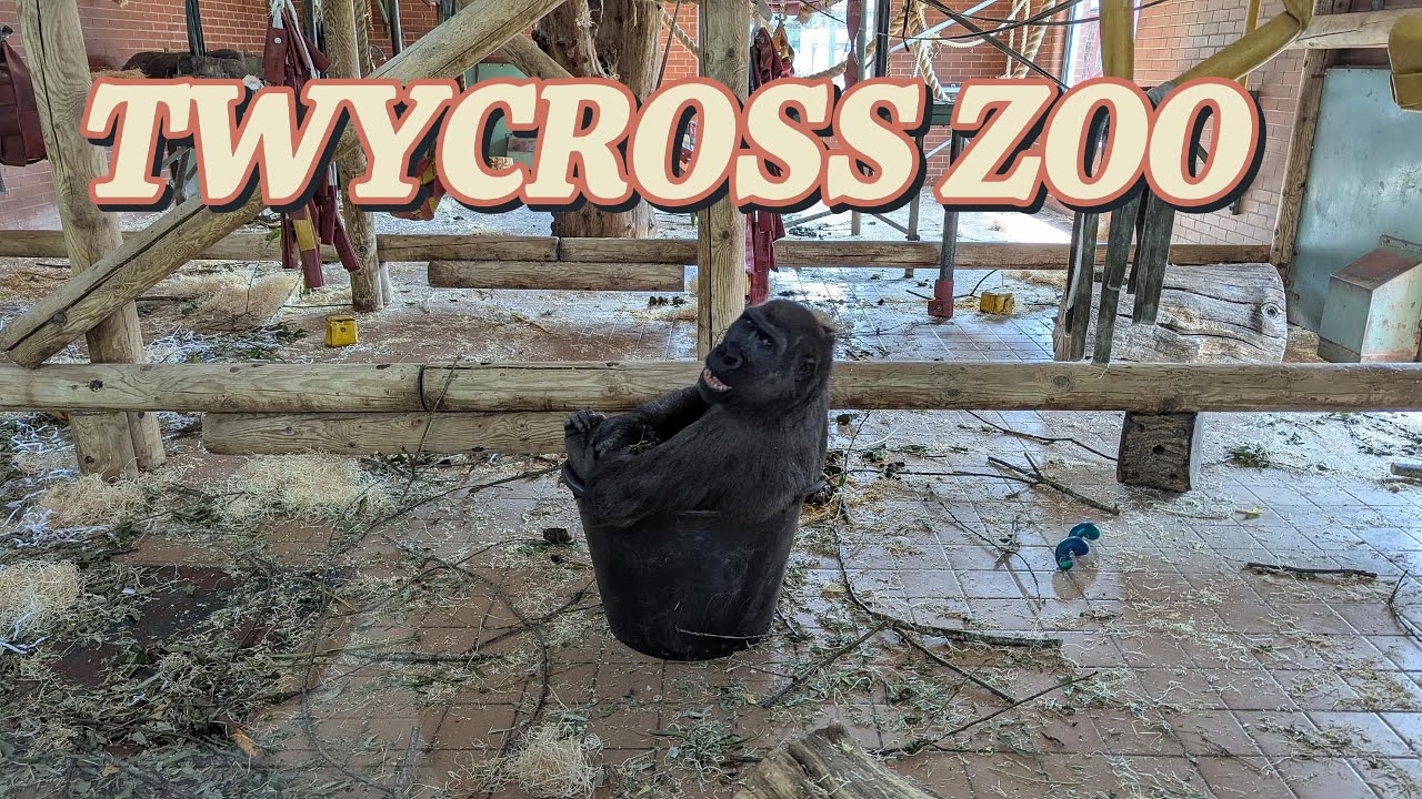 Twycross zoo