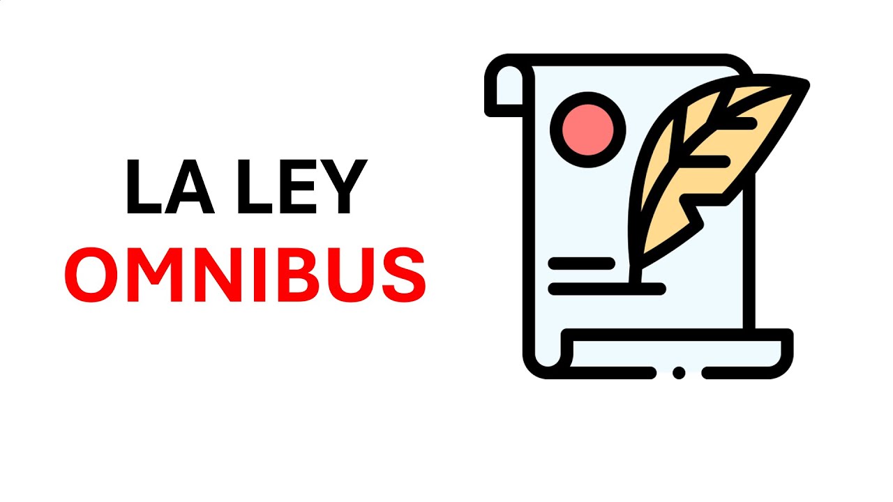 &iquest;Que es la ley omnibus?