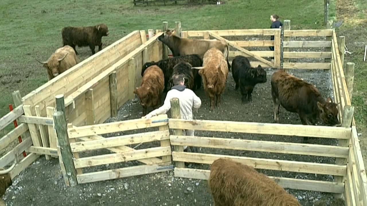 New Stock Yards