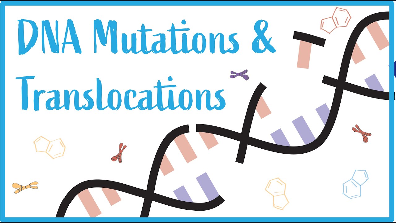 DNA Mutations & Translocations: Beautiful USMLE Lectures