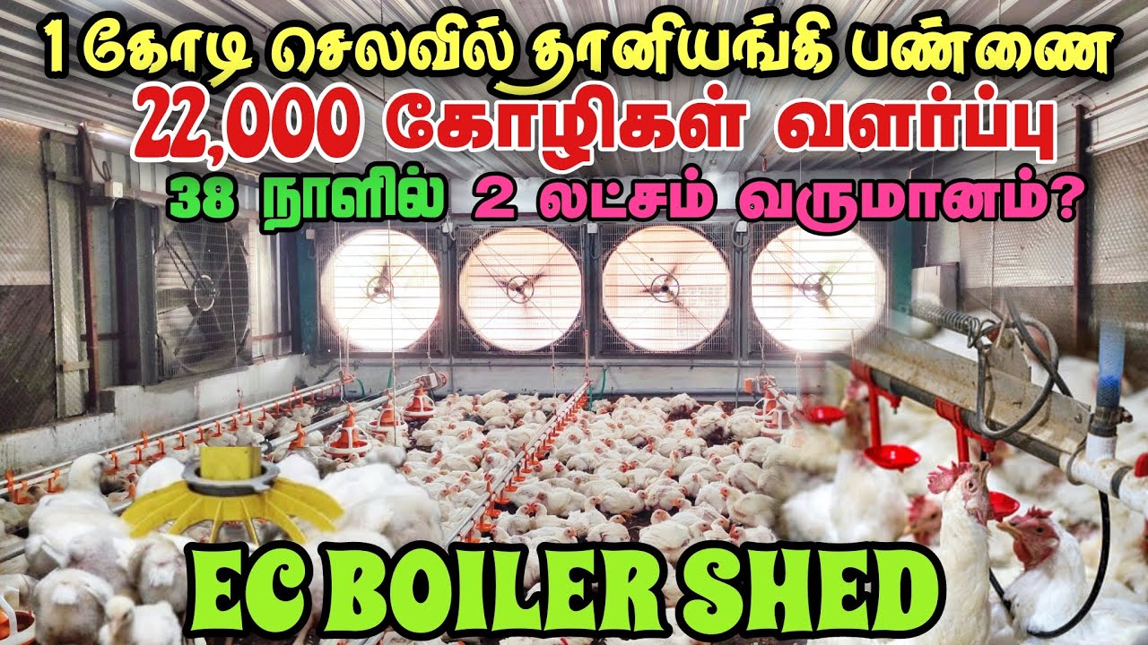 EC poultry farming in tamil | பண்ணை முழுவதும் தானியங்கி அமைப்பு  #hen #farming #poultry #agriculture