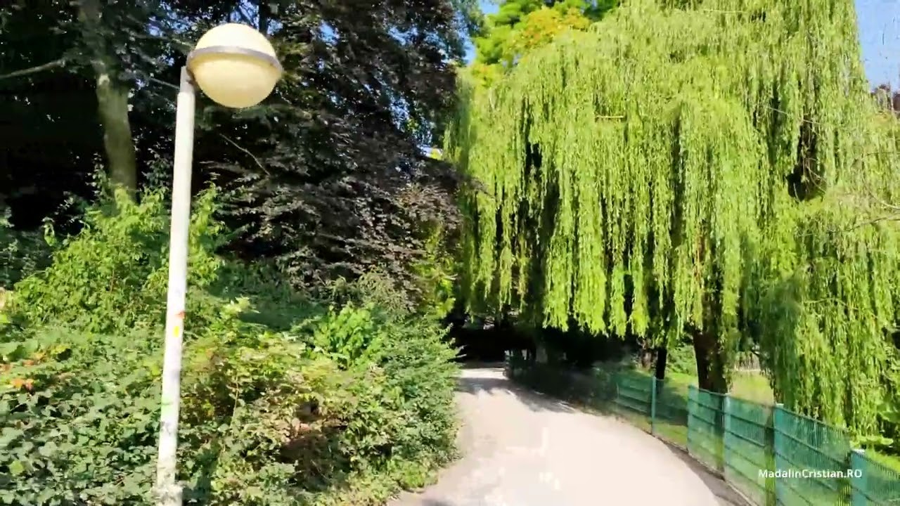 A walk in the park - Stadspark, Antwerp Belgium