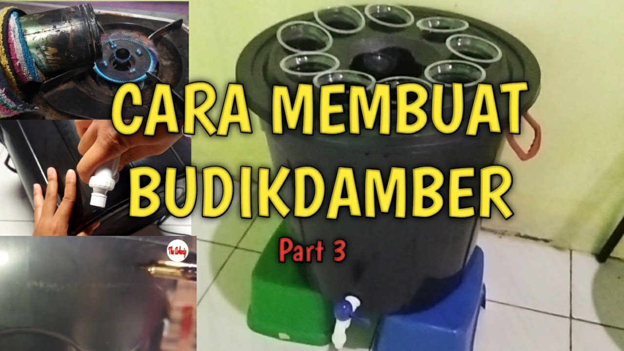 Cara Membuat Budikdamber #eps.26 #budikdamber #peliharaikandirumah