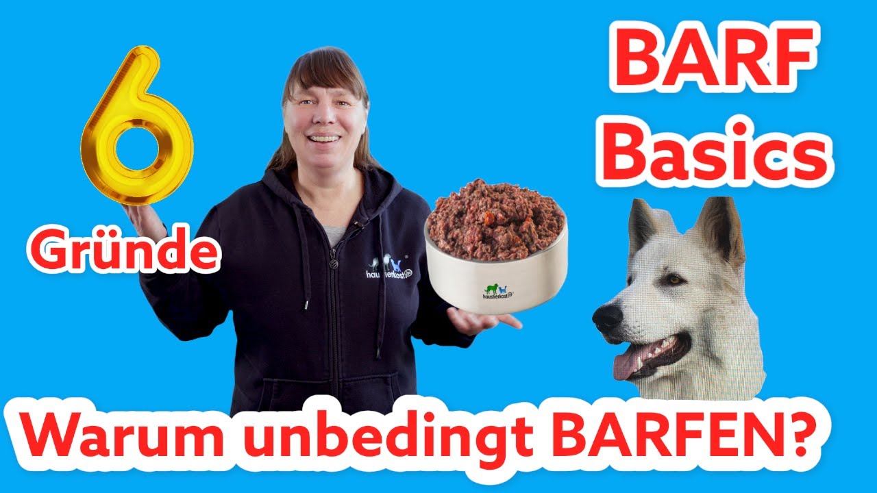 BARFEN: Sechs Gründe die wirklich überzeugen! Hund artgerecht ernähren I Bestes Hundefutter