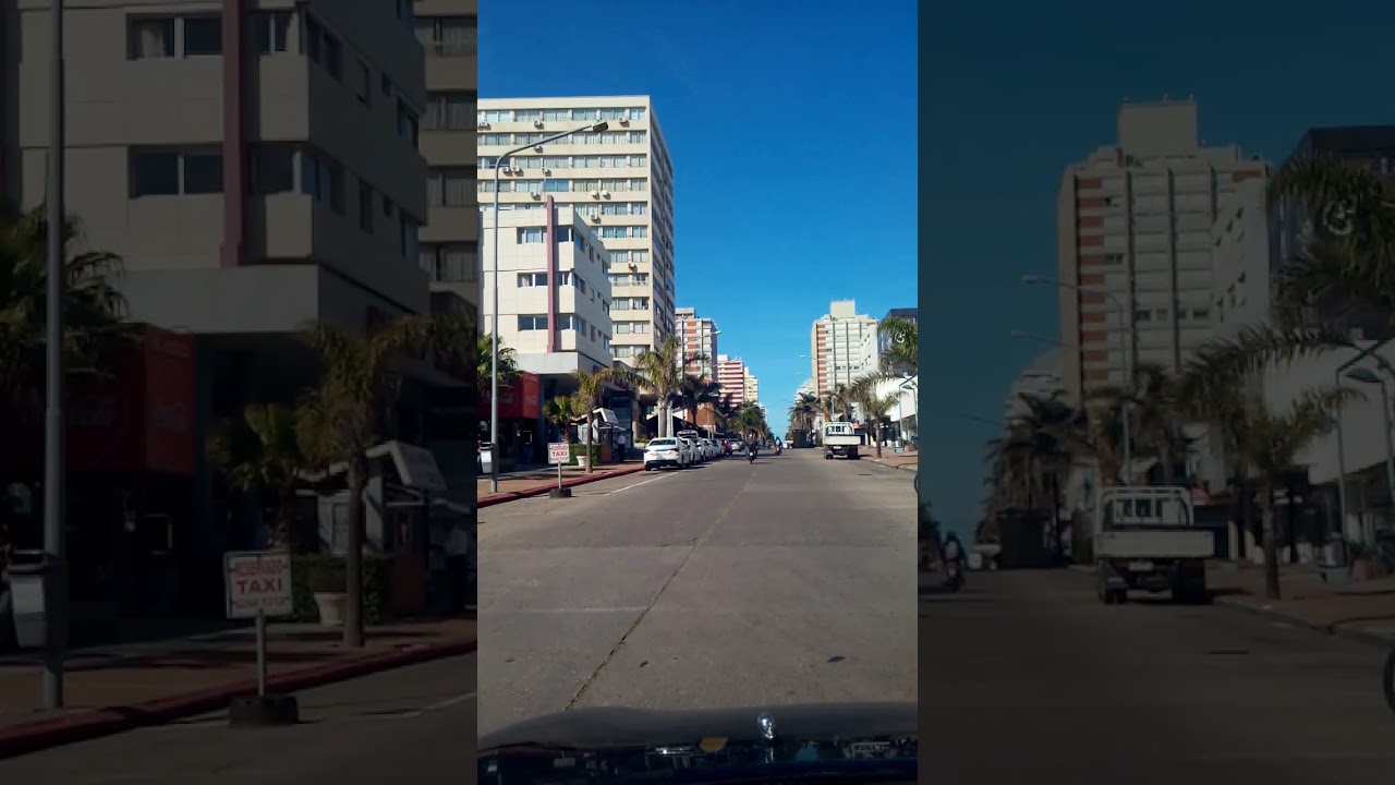avenida gorlero  punta del este