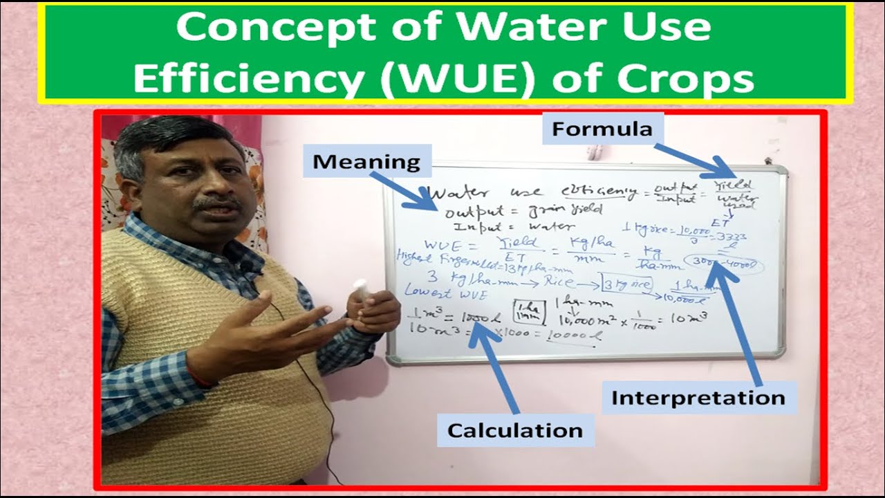 Concept of Water Use Efficiency (WUE) of Crops