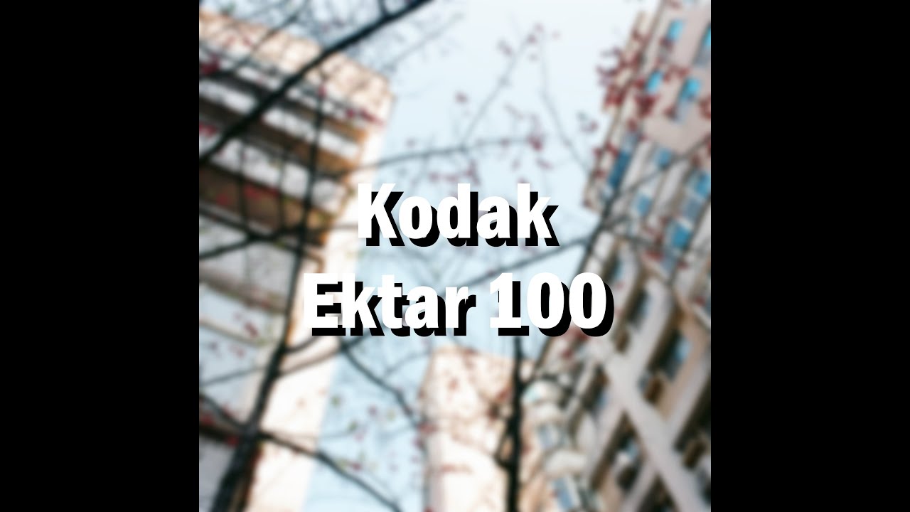 Kodak Ektar 100 with Nikon F2