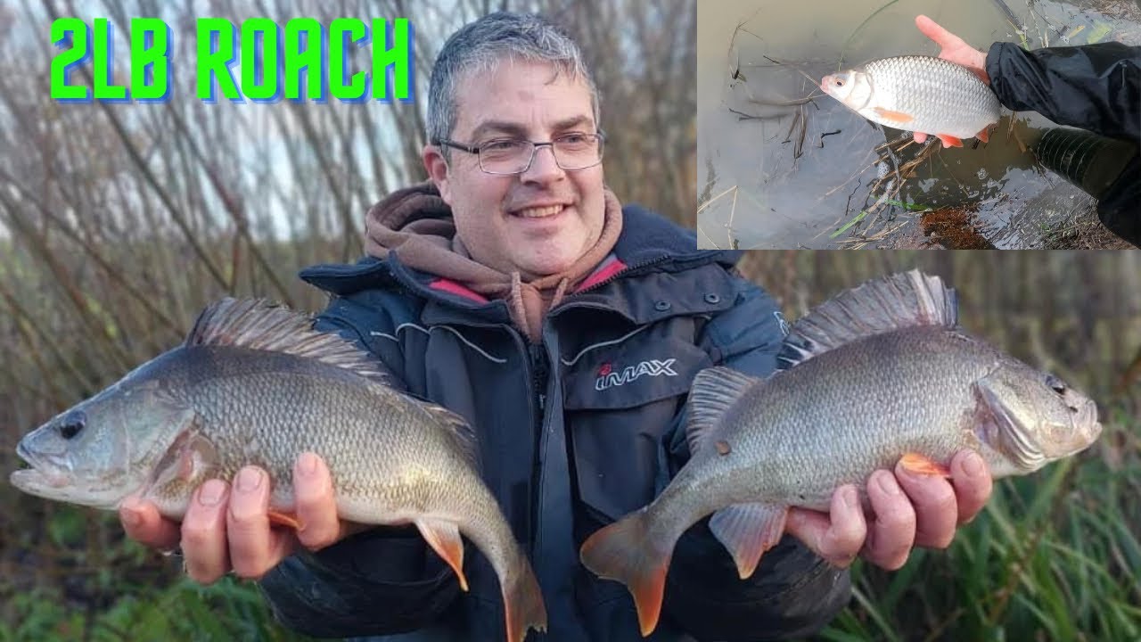 Multi Species Coarse fishing for specimen roach and perch
