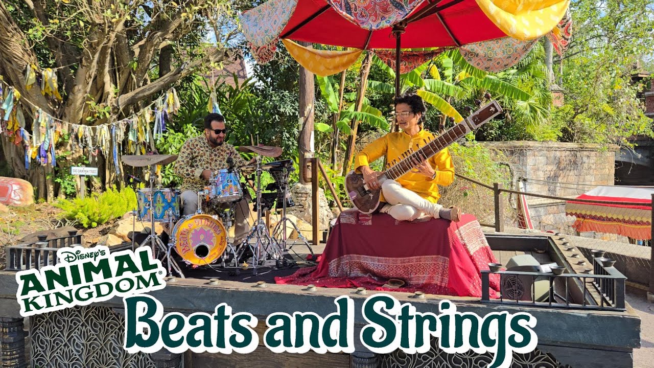 Beats & Strings Live at Disney's Animal Kingdom