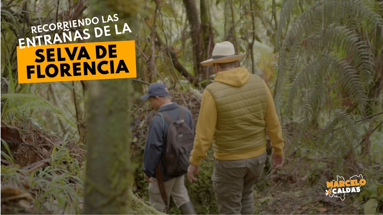 #ElDocumental -  ESP.  PNN SELVA DE FLORENCIA (Capitulo 4) - #MarceloXCaldas