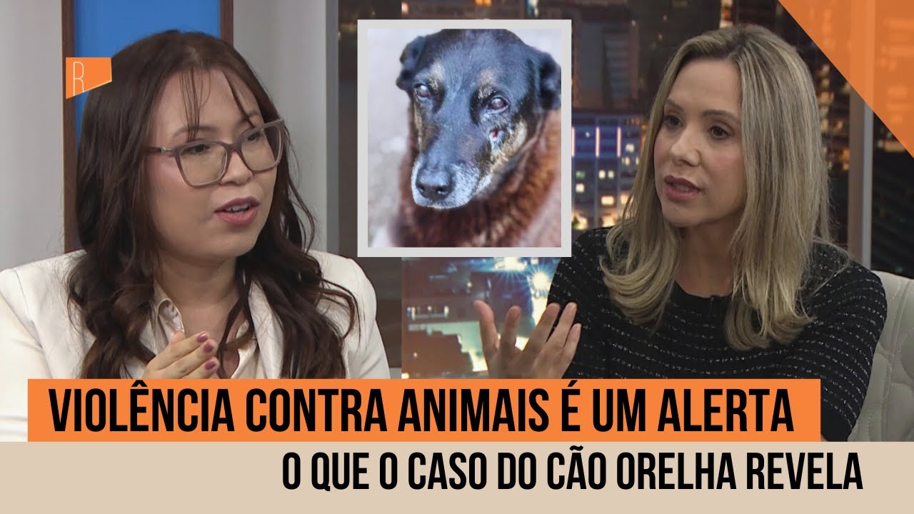 Caso orelha expõe alerta sobre violência juvenil e responsabilidade familiar